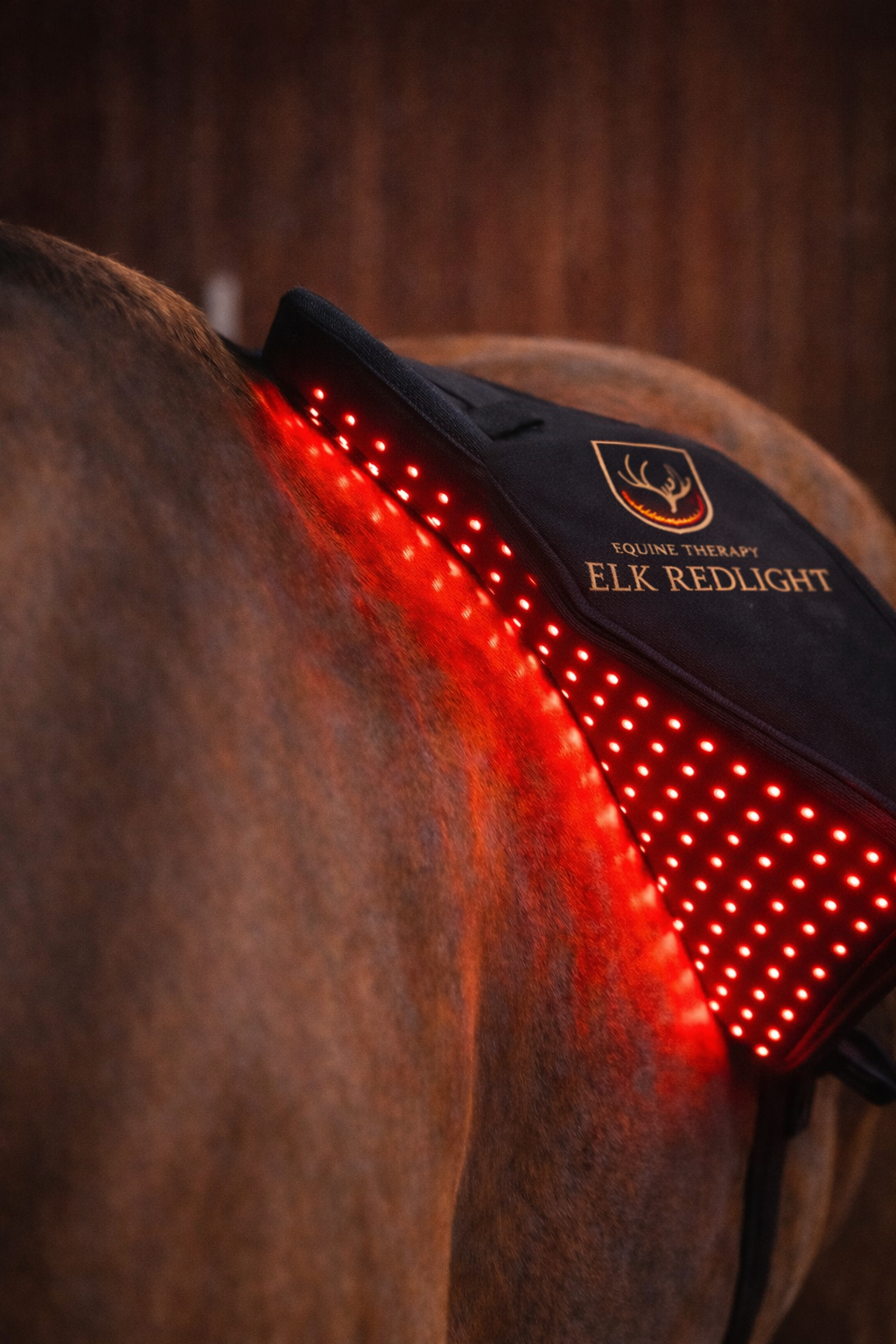 Premium Horse Red Light Therapy Blanket