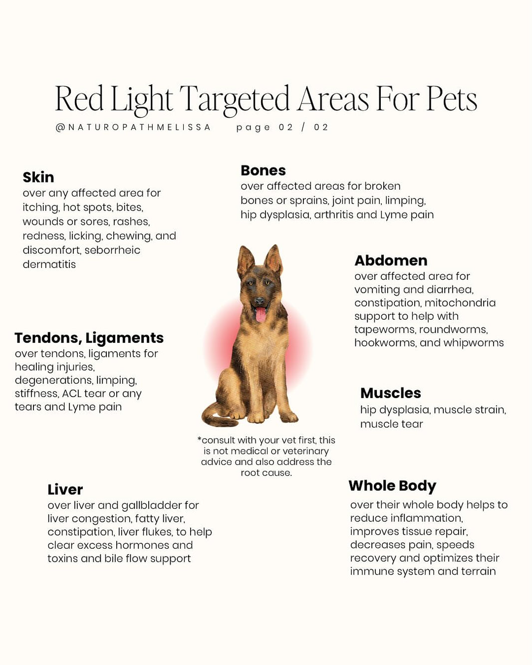 Large Dog Back Red Light Therapy Wrap