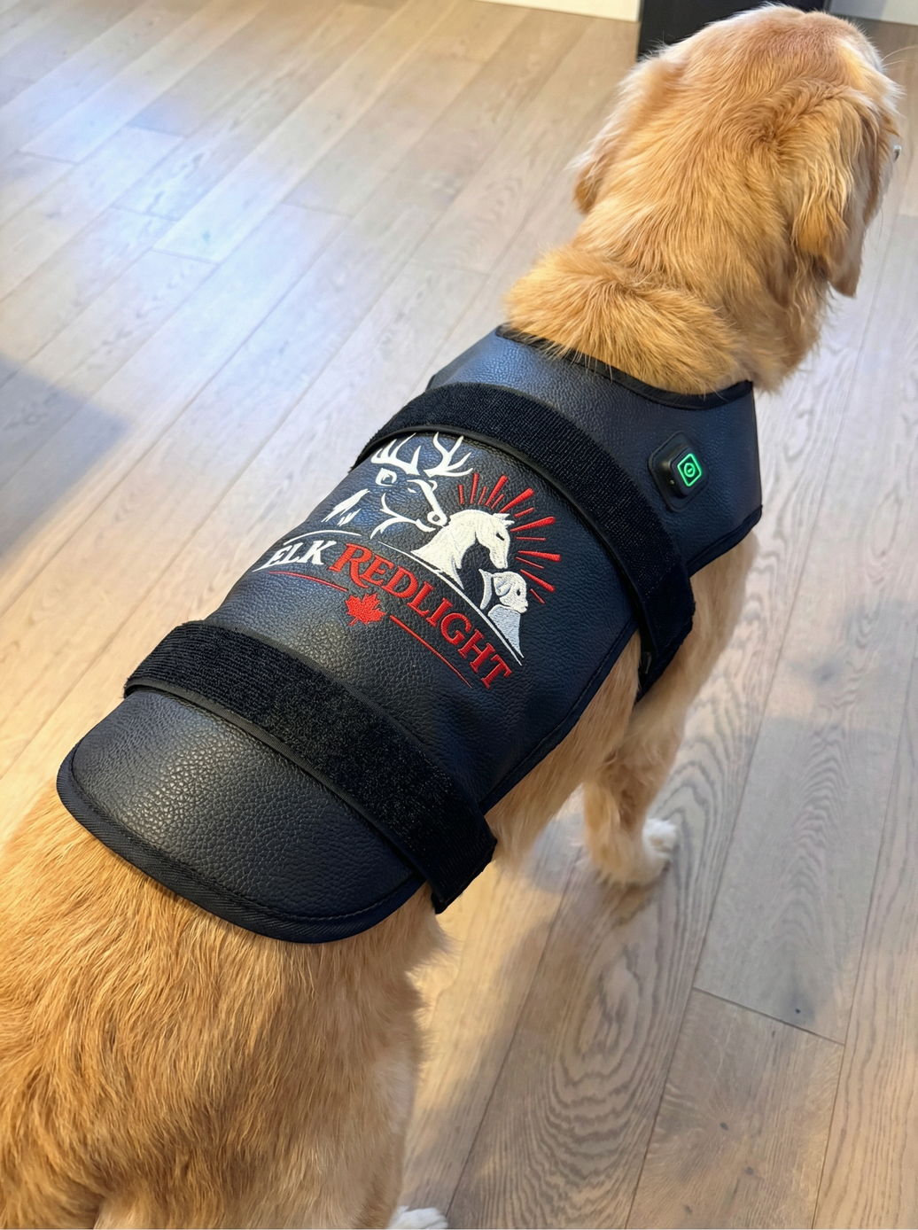 Large Dog Back Red Light Therapy Wrap
