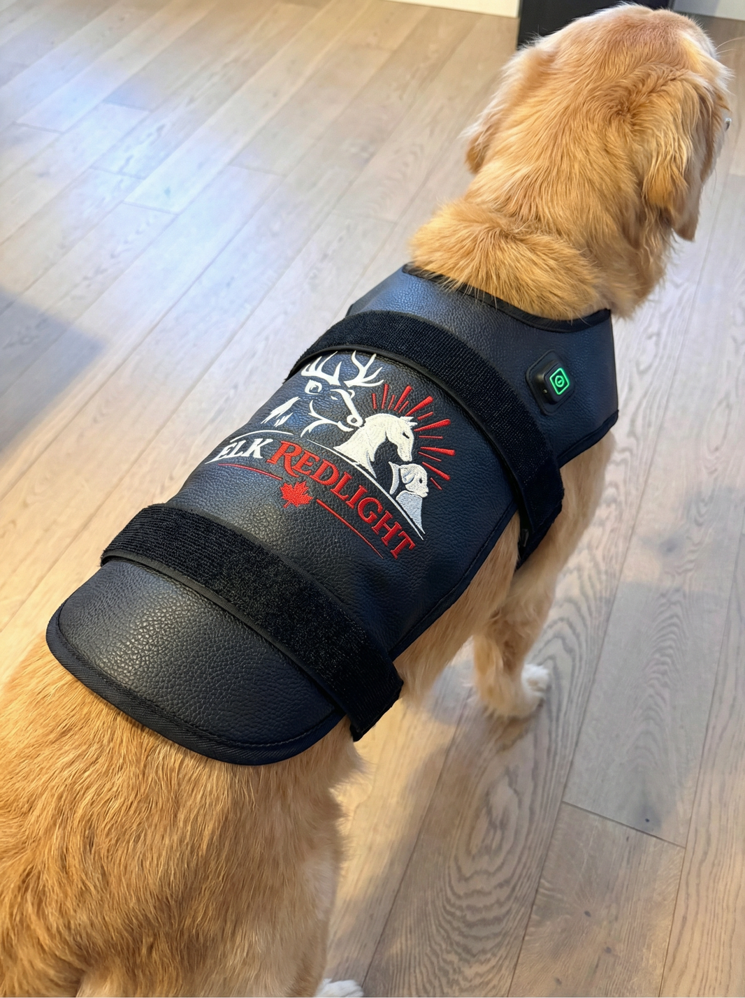 Large Dog Back Red Light Therapy Wrap