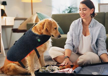 dog red light therapy back wrap 660nm 850nm for spine and muscles