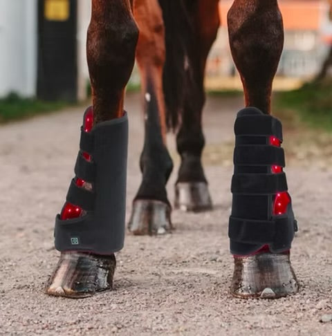 Equine Red Light Therapy Wraps — Advanced Care for Horses