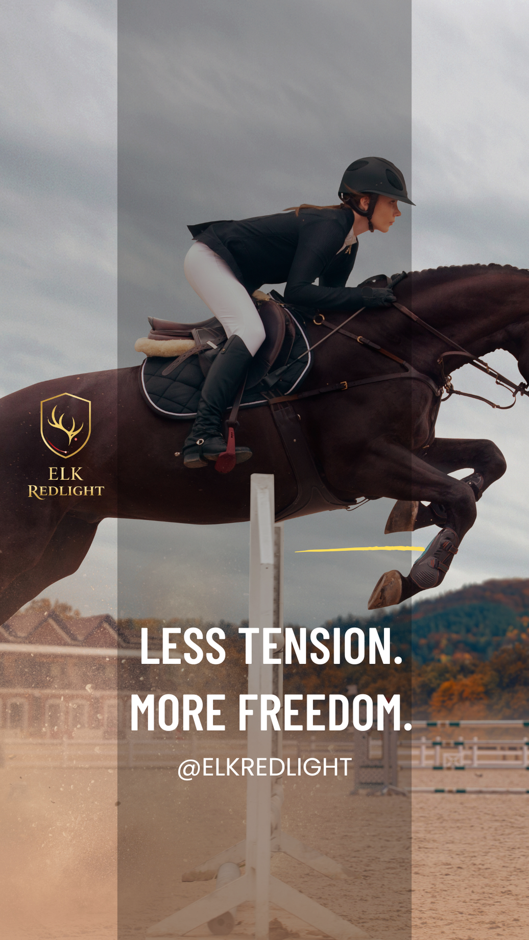 The Competitive Edge: How Red Light Therapy Supports Peak Performance in Equestrian Sport