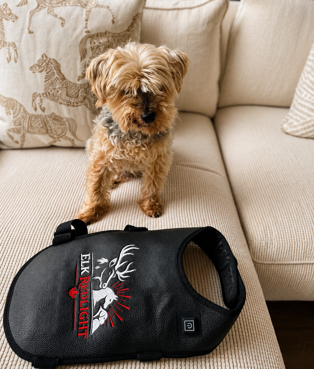 Small Dog & Cat Back Red Light Therapy Wrap