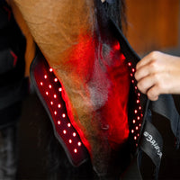 Equine hock therapy wrap showing red and infrared light panels