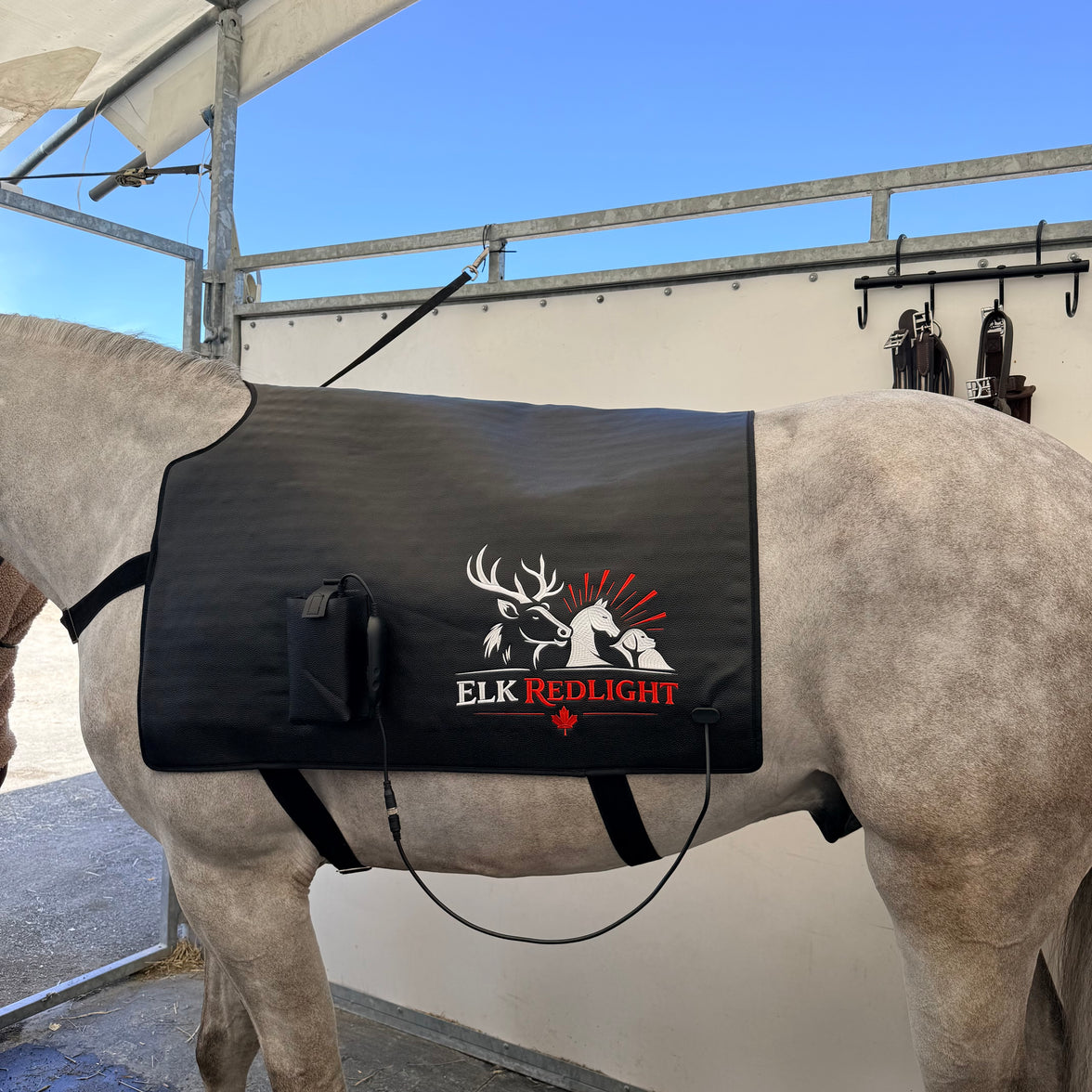 Premium Horse Red Light Therapy Blanket