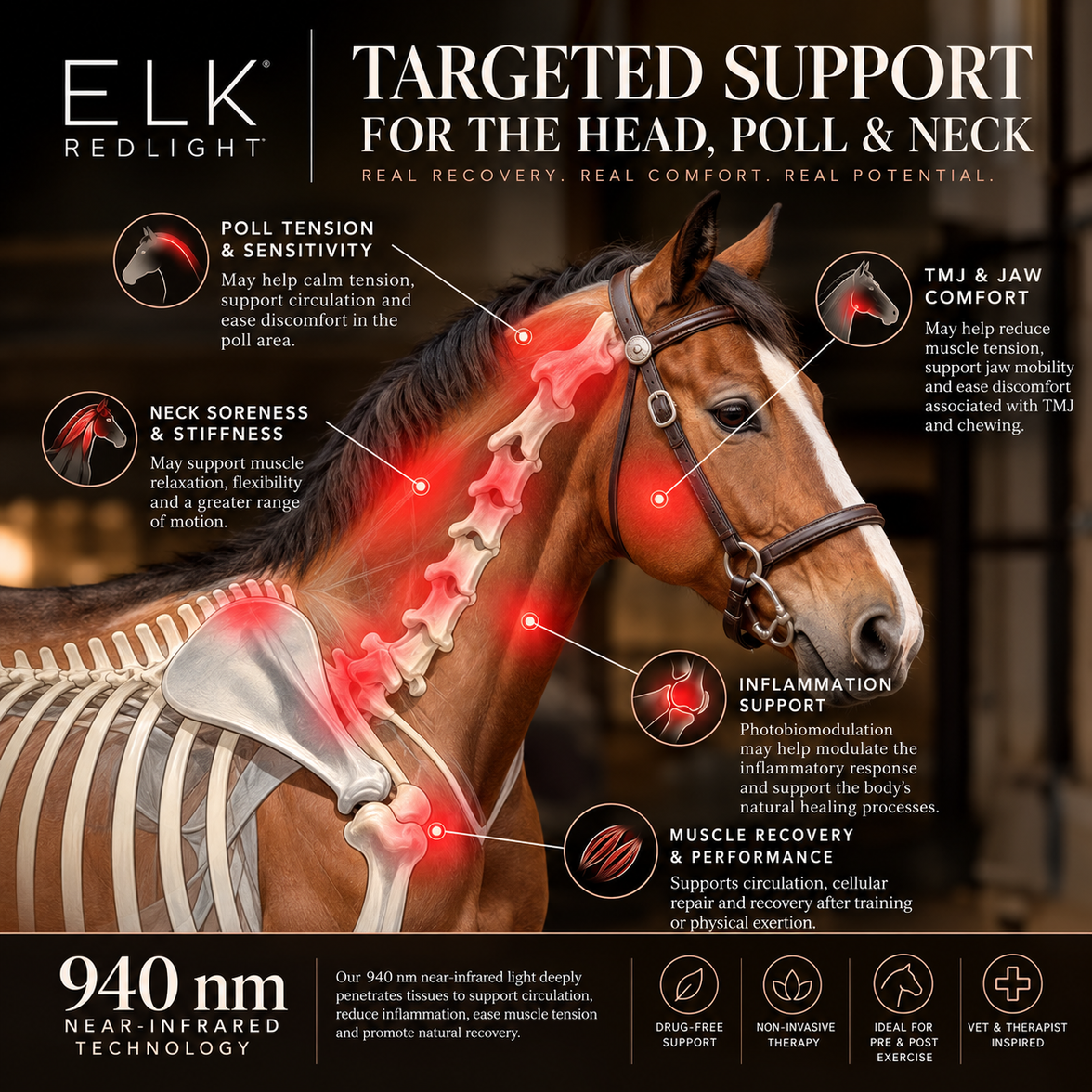 Enveloppe de thérapie par lumière rouge pour la tête et l'encolure du cheval — Couverture élargie