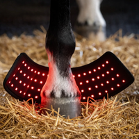 Horse Hoof therapy wrap with redlight and infrared 
