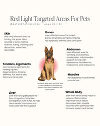 Large Dog Back Red Light Therapy Wrap