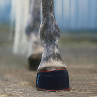 Hoof therapy wrap wrapped around horse hoof
