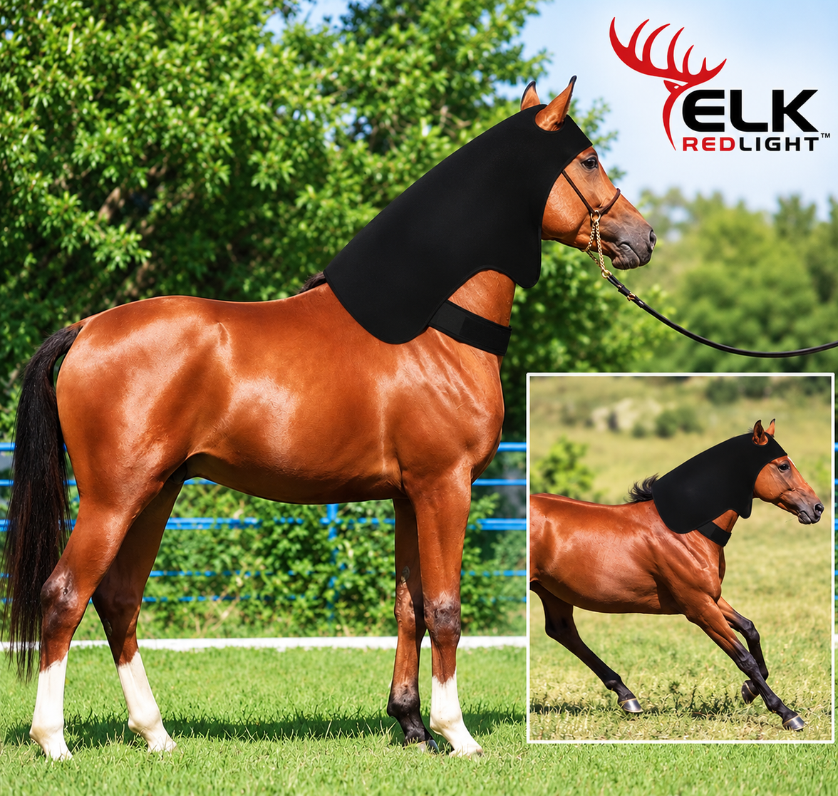 Enveloppe de thérapie par lumière rouge pour la tête et l'encolure du cheval — Couverture élargie